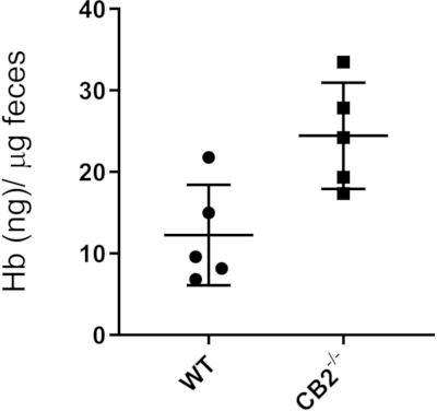 figure-results-2 figure-results-2