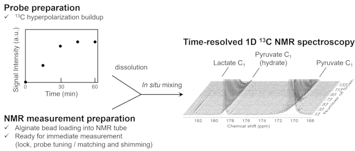 figure-results-4 1D NMR spectroscopy diagram; \(^{13}C\) hyperpolarization buildup, data analysis, spectral results.