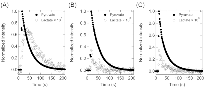 figure-results-5 Kinetic analysis graph, pyruvate/lactate concentration vs. time, normalized intensity comparison.
