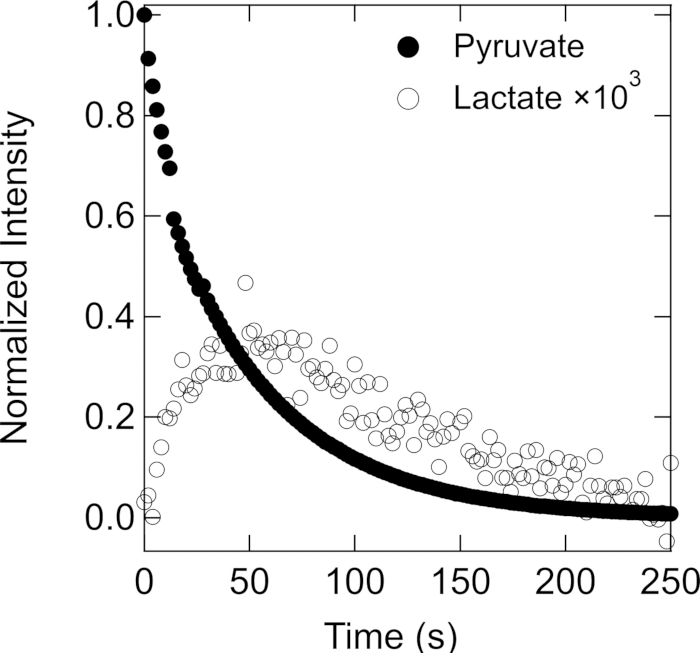 figure-results-6 Kinetics graph showing pyruvate and lactate normalized intensity over time; biochemical analysis.