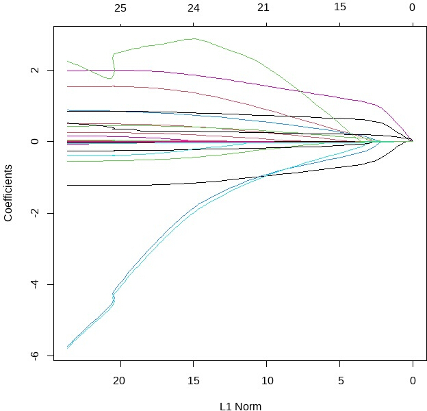 Lasso coefficient paths, regression analysis, plot of coefficients vs. L1 Norm, model selection.