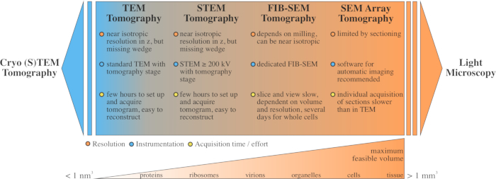 figure-introduction-1 Cryo STEM tomography diagram comparing resolution, instrumentation, and effort in microscopy setups.