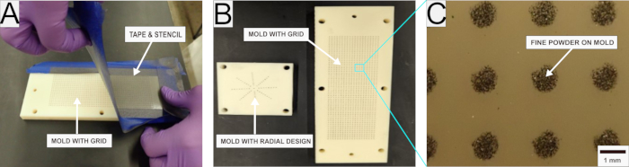 Mold fabrication process; grid and radial stencil setup; fine powder application on grid mold.