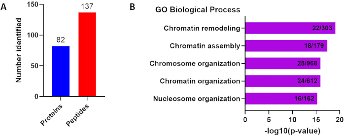 Protein and peptide identification bar charts; GO biological process involvement analysis results.
