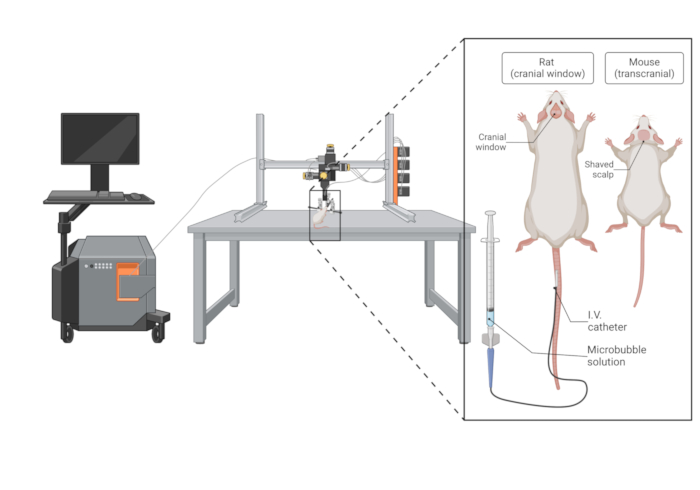 figure-protocol-1