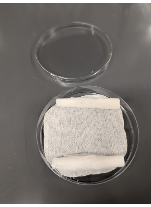 figure-results-2 Petri dish setup with textile sample for absorption experiment, fiber analysis, laboratory research.