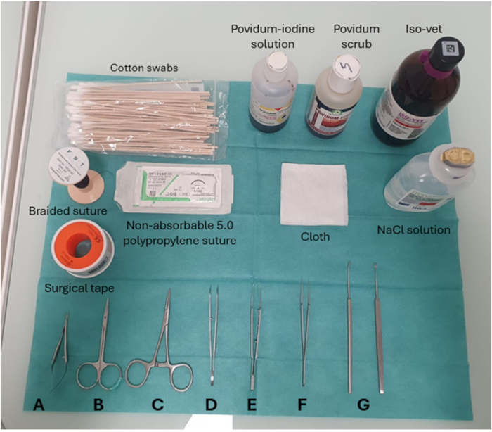 figure-results-1 Surgical setup with swabs, sutures, tape, povidone-iodine, tools A-G for medical procedures.