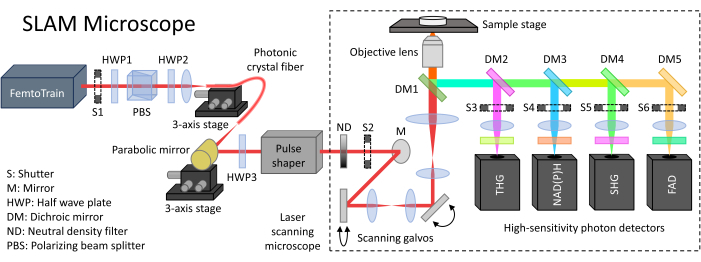 figure-introduction-1 SLAM microscope diagram; optical setup for scanning, excitation; photon detectors for spectral analysis.