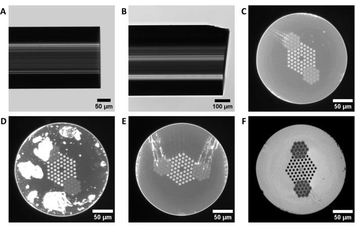 Microscopy image showing photonic crystal structures; diffraction pattern analysis at microscale.