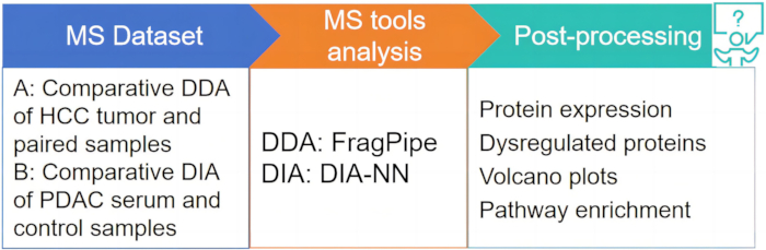 Mass spectrometry workflow diagram: datasets, MS tools analysis, and post-processing results.