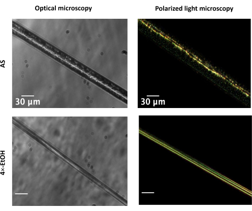 Microscopy comparison diagram: optical vs polarized light on fibers, detail at 30μm scale.