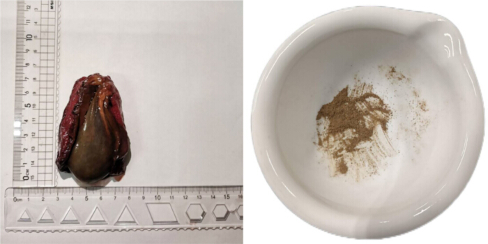 figure-results-1 Biotic sample maceration process; includes heart tissue, ruler, and ground powder in mortar.