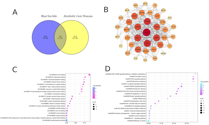 figure-results-5 Venn diagram and network graph for gene analysis; dot plots for enrichment pathways in disease study.