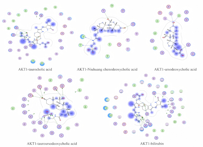figure-results-7 Molecular interaction diagrams of AKT1 with various acids, showing chemical bonding analysis.