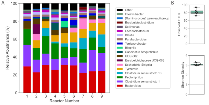figure-results-5
