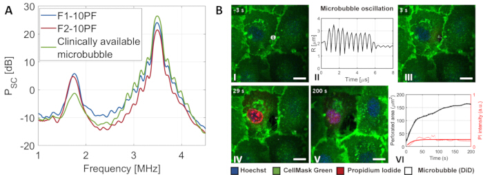 figure-results-6 Ultrasound microbubble oscillation analysis; frequency response graph, cell microscopy images, data charts.
