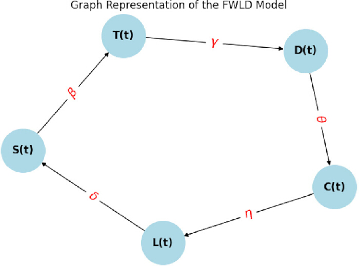 Graph of FWLD model with nodes and transition arrows; dynamic process diagram.
