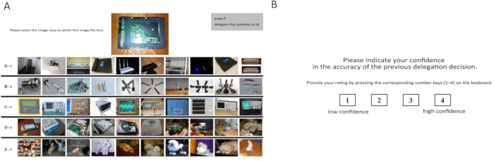 Image classification task with various image categories and confidence rating system for accuracy.