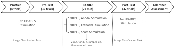 HD-tDCS stimulation process diagram; rDLPFC anodal/cathodal/sham; image classification task.