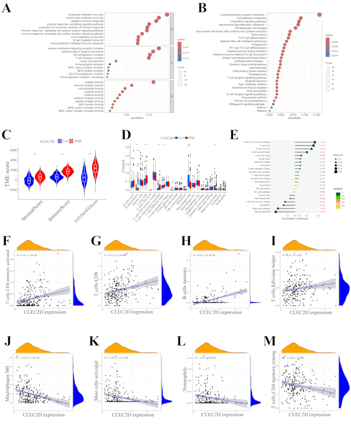 figure-results-3 CLEC2D expression analysis; gene function; scatter plots, vioplot, dot plots; immune response graph.