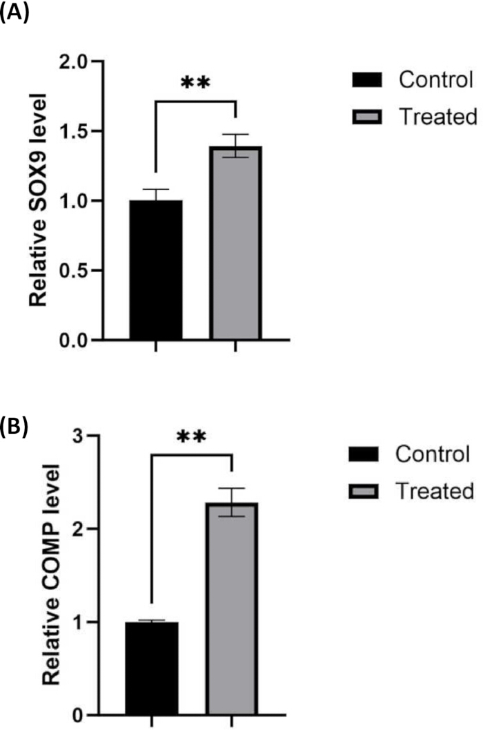 figure-results-1 figure-results-1