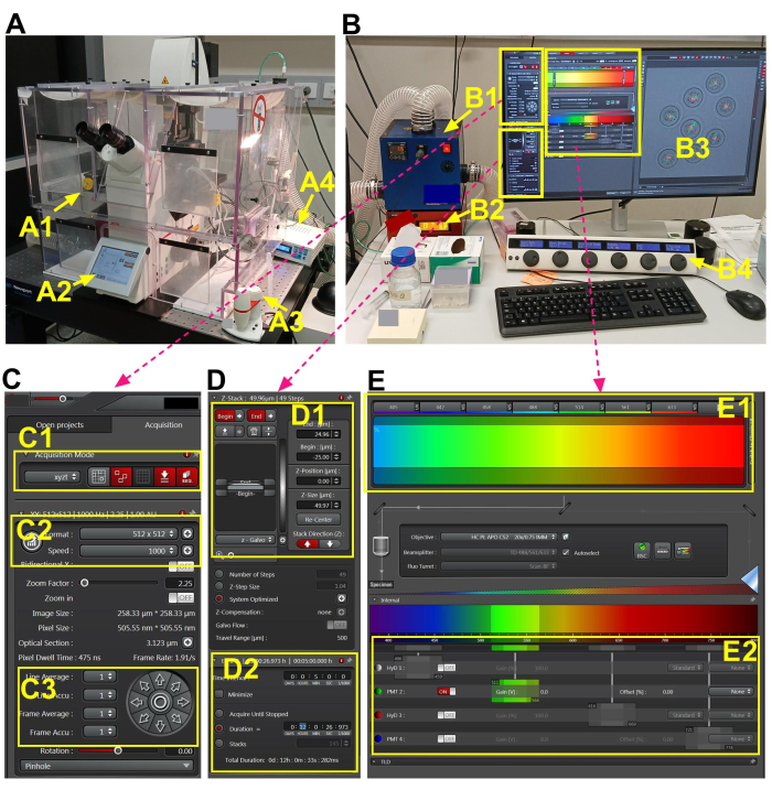 Spectroscopy setup; optical excitation; diagram; data analysis software; emission spectra visualization.