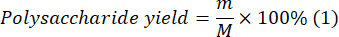 Polysaccharide yield calculation formula: m/M × 100%; equation for scientific analysis.