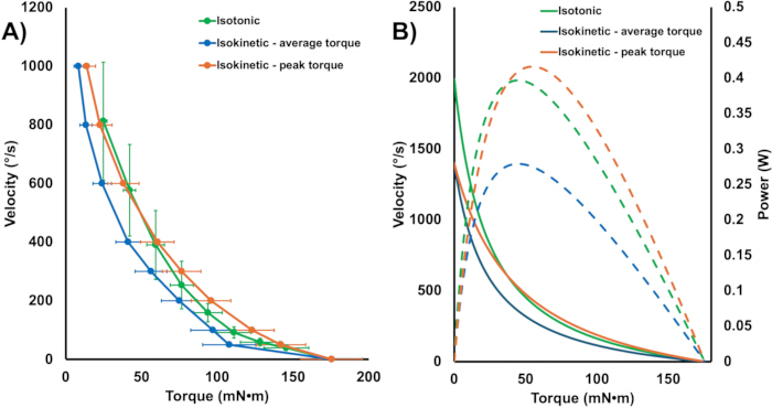 Isotonic vs. isokinetic torque-velocity graph; isotonic, average, peak torque in exercise analysis.