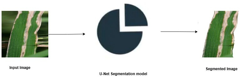 Transfer Learning and UNet Segmentation for Paddy Leaf Disease ...