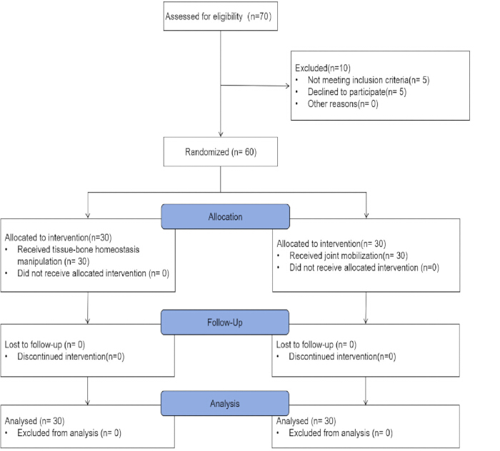 figure-results-1 Randomized control trial flowchart; eligibility, allocation, follow-up, analysis stages detailed.