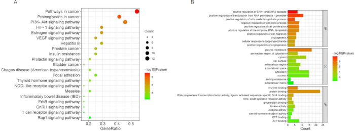 figure-results-2 Cancer pathway analysis graph with gene ratio, count, and p-value in dot plot and bar charts.
