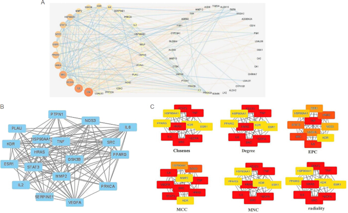 figure-results-3 Network analysis diagram of gene interactions; includes connectivity, node metrics; research data.