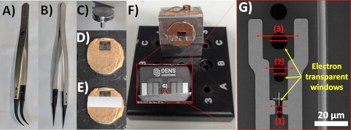 Static equilibrium in micro-scale analysis, SEM micrograph; tweezers, electron transparent windows setup.