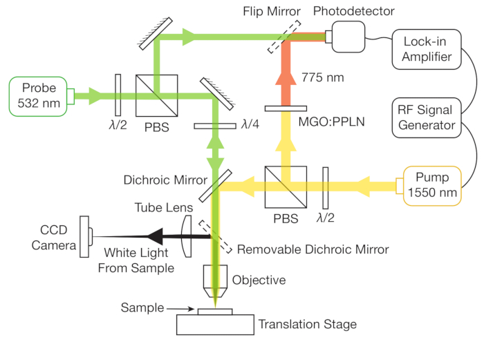 figure-protocol-1 Optical setup for spectroscopy; diagram showing excitation, dichroic mirrors, and signal detection.