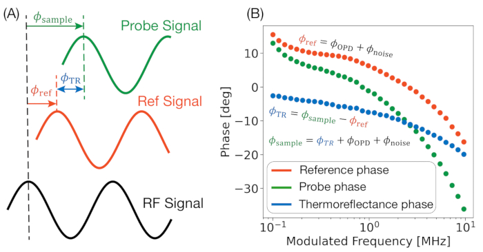 figure-protocol-2 Optical phase detection: Probe, reference signal diagram; phase vs. frequency chart; spectroscopic analysis.
