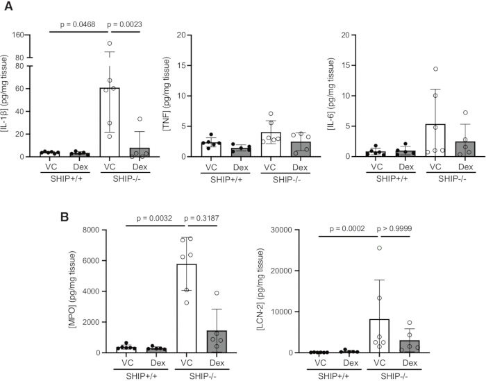 figure-results-3 Protein expression analysis bar graph; inflammatory markers in SHIP genotypes; statistical results.
