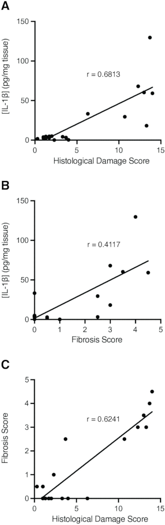figure-results-4 Graph of IL-1β levels vs. damage and fibrosis scores showing correlation coefficients.