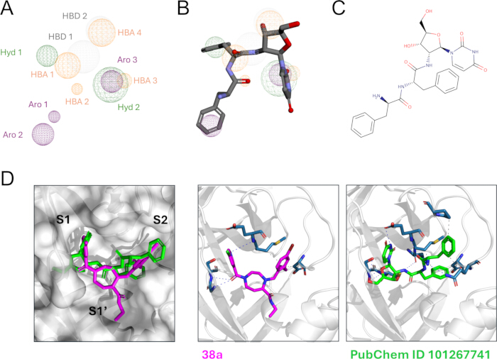 Molecular docking analysis diagram, showing ligand interactions and binding sites with structural formulas.