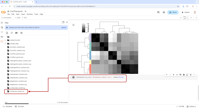 Cluster analysis heatmap; consensus clustering; data analysis in Python; dendrogram visualization.