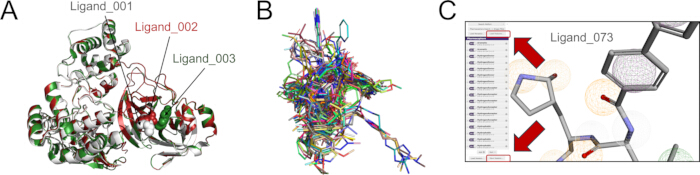 Protein-ligand docking diagrams; illustrate binding interactions; structural analysis setup.