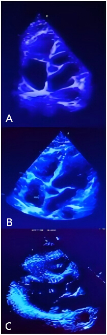 Fluorescent imaging, three-panel display, potential diagnostic application, biofluorescence analysis.