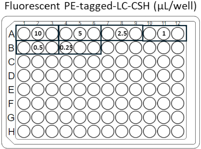 Fluorescent assay plate diagram with µL/well concentrations for protein quantification experiment.