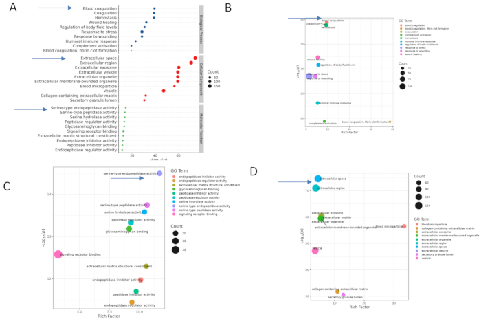 figure-results-3 Gene ontology enrichment analysis; bubble charts A-D showing biological process, cellular component, and molecular function categories.