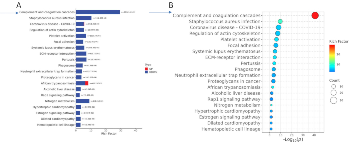 figure-results-4 Bar and bubble charts; gene pathways analysis; COVID-19, coagulation cascades; data visualization.