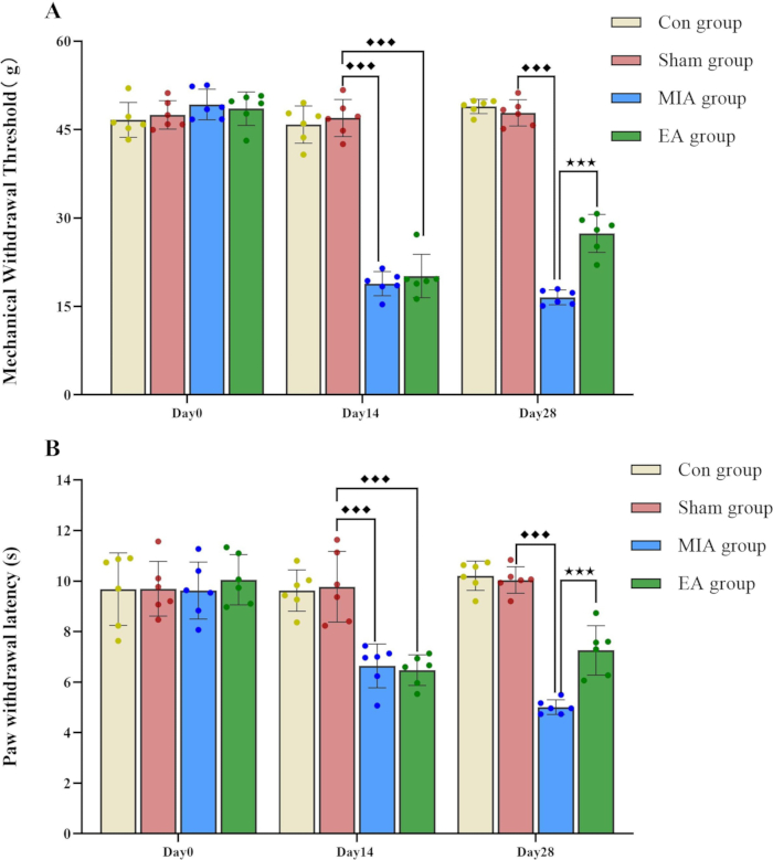figure-results-2 Bar chart comparing mechanical withdrawal threshold and paw withdrawal latency in different groups.