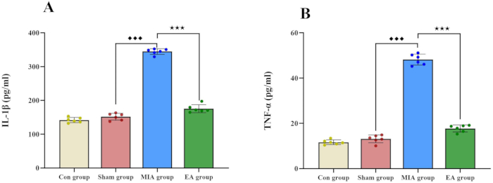 figure-results-6 Bar graphs comparing IL-1β and TNF-α levels in different treatment groups; statistical analysis results.