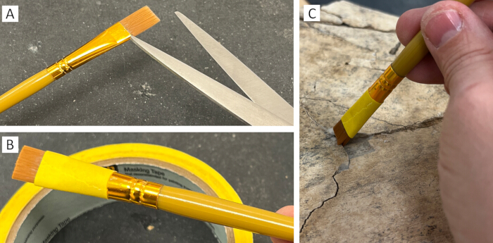 Conservation process diagram: modified brush creation for fossil excavation detailing steps A-C.