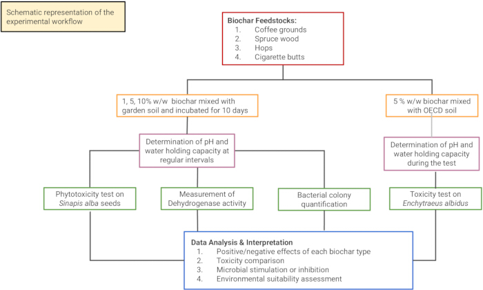figure-protocol-6 Biochar feedstock workflow diagram with soil tests, pH measurement, phytotoxicity, and analysis.