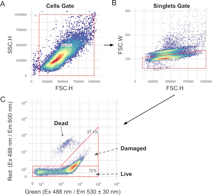 Flow cytometry analysis; dot plots illustrate cell gating, singlets, live and dead cell populations.