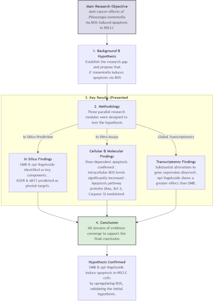 figure-results-1 Anti-cancer research flowchart: Pileostegia tomentella, apoptosis via ROS, in silico and in vitro analysis.